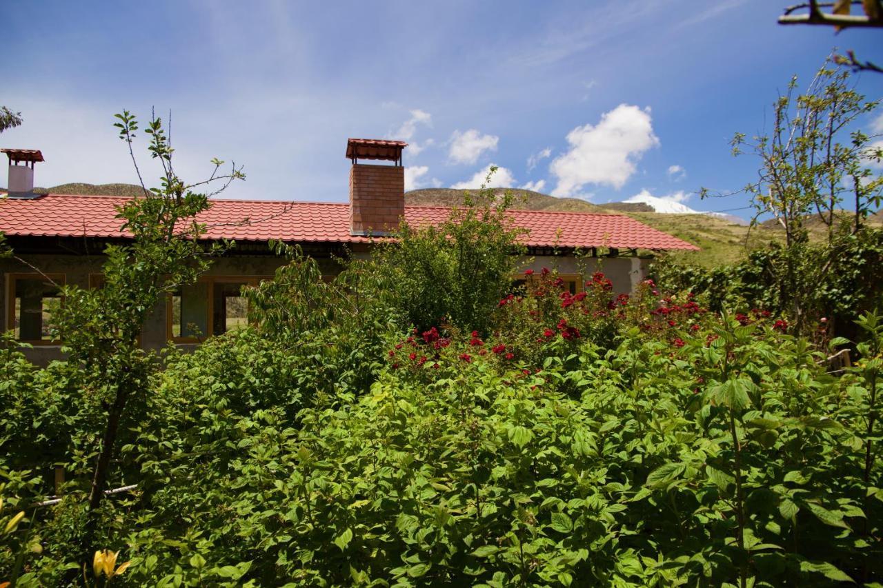 Hostal Vientos Del Altiplano Putre Exteriér fotografie