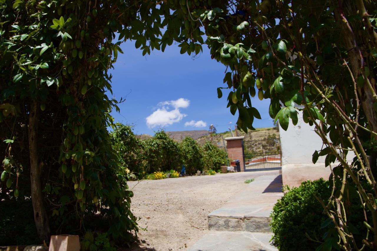 Hostal Vientos Del Altiplano Putre Exteriér fotografie