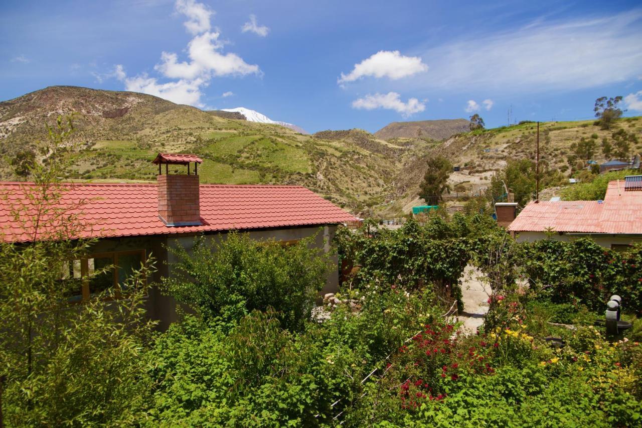 Hostal Vientos Del Altiplano Putre Exteriér fotografie