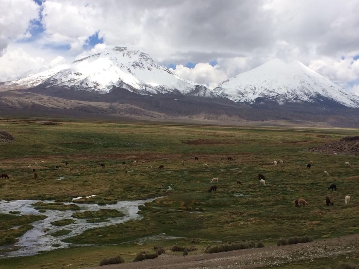 Hostal Vientos Del Altiplano Putre Exteriér fotografie